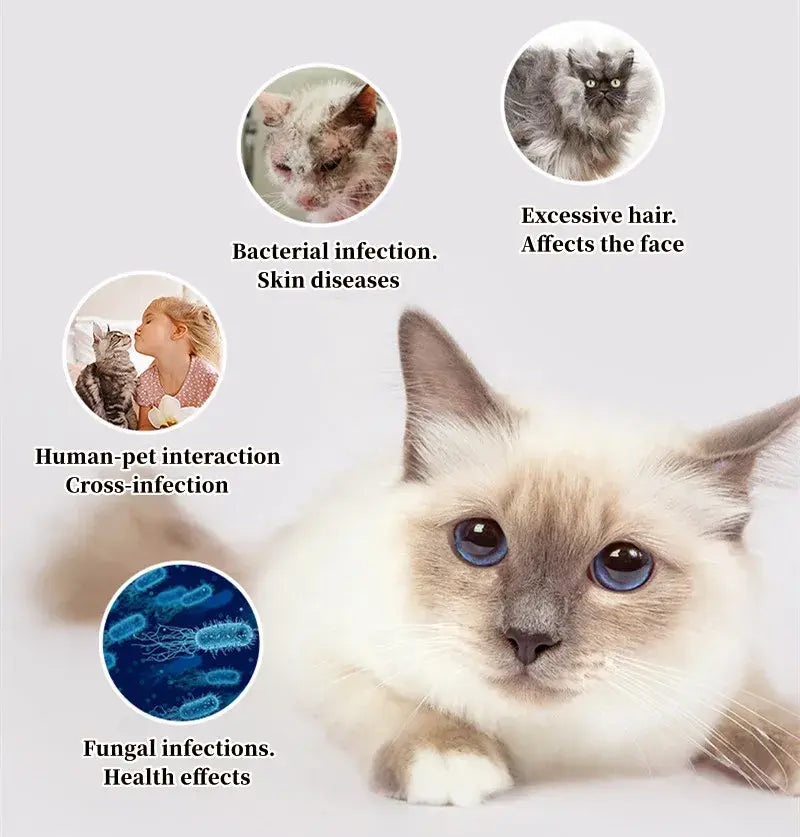 pet hair remover,
best ways to clear brush,
how to clear brush,
best way to remove brush,
remove brush from yard,
clear out brush,
how to remove brush from yard,
how to clear thick brush,
animal hair remover,
Brush for removing fur