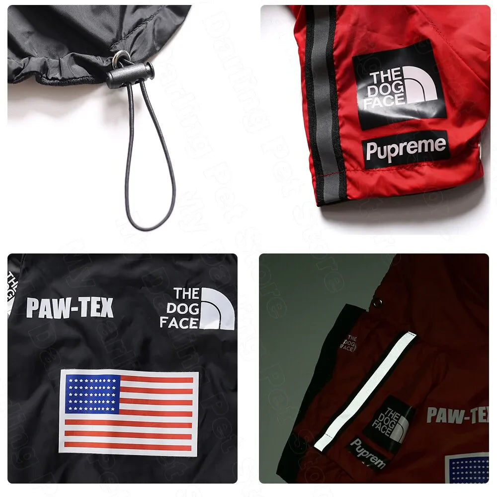 Hundjacka - The dog face - Pet Modesti