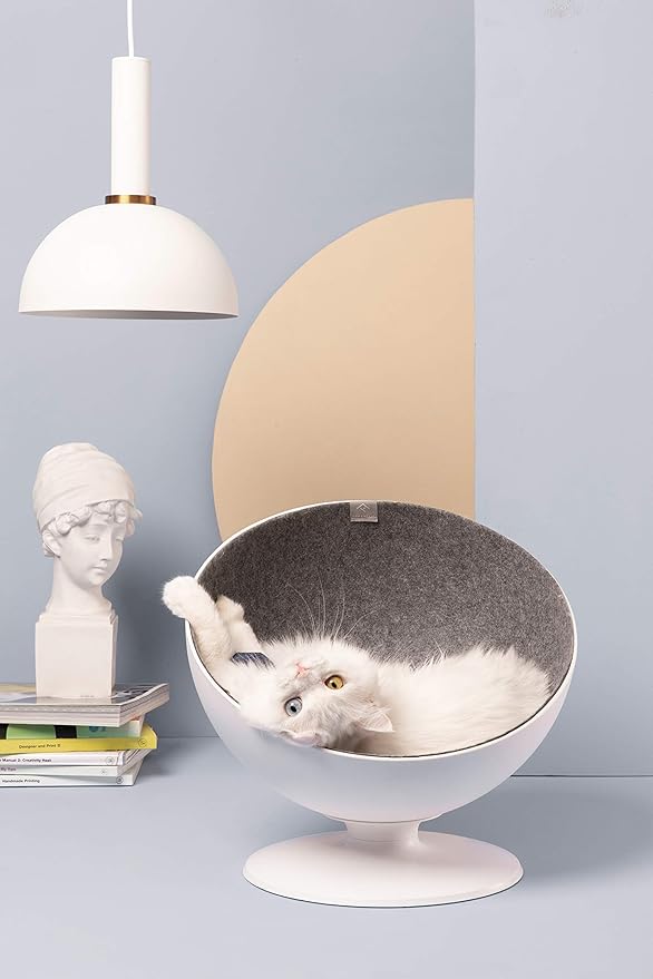 Snurrbädd till din katt