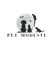 Pet Modesti