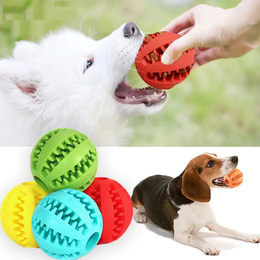 four-ball golf,
indestructible ball for large dogs,
active ball for dogs,
rolling ball for dog,
four-ball golf,
dog ball big,
indestructible dog balls,
interactive dog toy,
toy dog interactive,
