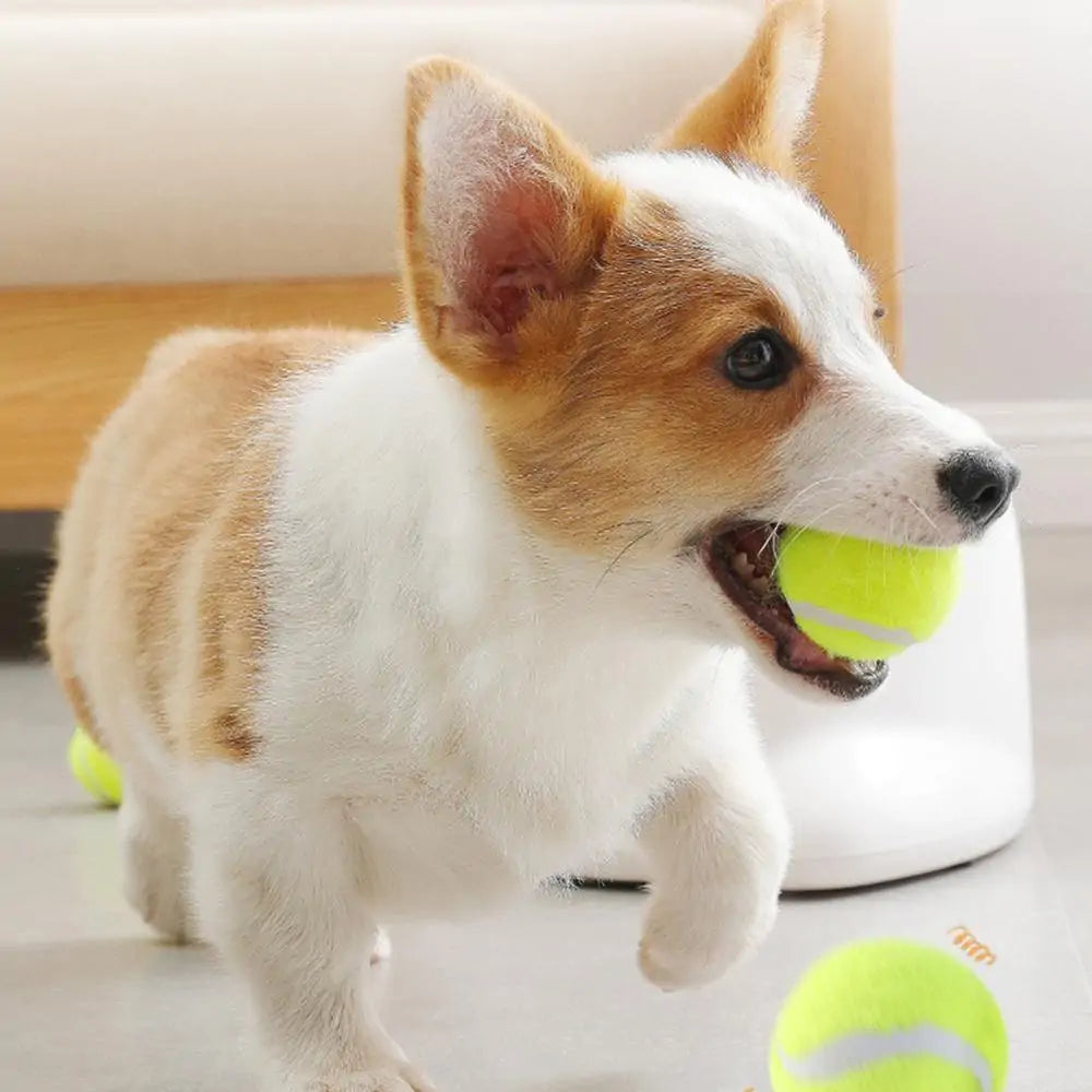 interactive dog ball,
auto dog toys,
toys for very smart dogs,
interactive toys for smart dogs,
best moving dog toys,
automatic toy for dogs,
active toys for dogs,
interactive dog ball,
smart dog toys,
moving dog toys,
Automatic Interactive Pet Toy,
dog interactive toy,