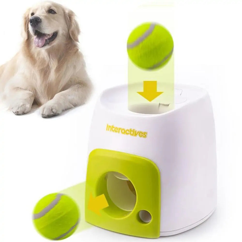 interactive dog ball,
auto dog toys,
toys for very smart dogs,
interactive toys for smart dogs,
best moving dog toys,
automatic toy for dogs,
active toys for dogs,
interactive dog ball,
smart dog toys,
moving dog toys,
Automatic Interactive Pet Toy,
dog interactive toy,