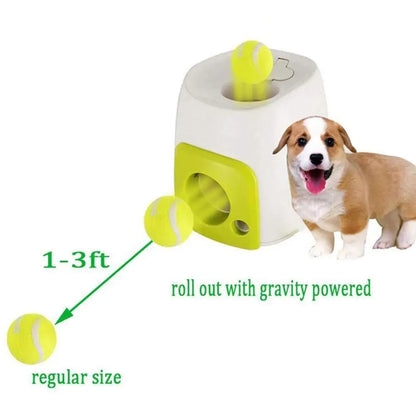 interactive dog ball,
auto dog toys,
toys for very smart dogs,
interactive toys for smart dogs,
best moving dog toys,
automatic toy for dogs,
active toys for dogs,
interactive dog ball,
smart dog toys,
moving dog toys,
Automatic Interactive Pet Toy,
dog interactive toy,