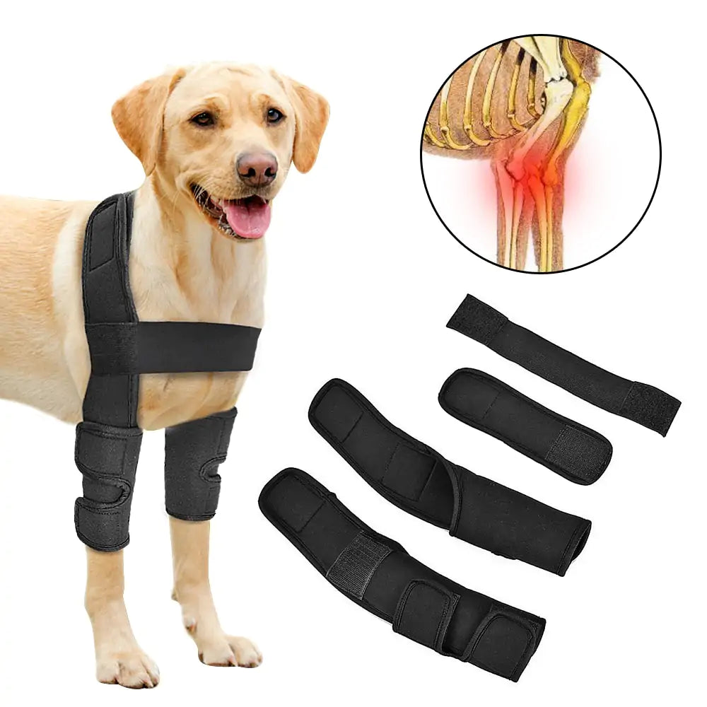 dog braces for back legs,
braces for dogs back legs,
dog braces for back legs,
dog leg braces,
dog braces for legs,
under desk foot rest,
elastic stockings medical,
eg compression sleeve,
leg braces,
leg sleeve compression,
compression sleeve leg,
leg support,
brace for dogs