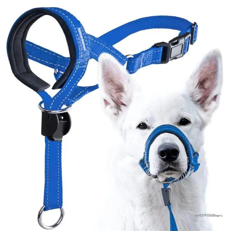 mule tape halter,
dog head halter,
dog head collar,
nose harness dog,
rope halters with leather noseband,
mule tape halter,
braided halters,
rope halters with leather noseband,
rope halters with leather noseband,
head collars for dogs,
dog head halter