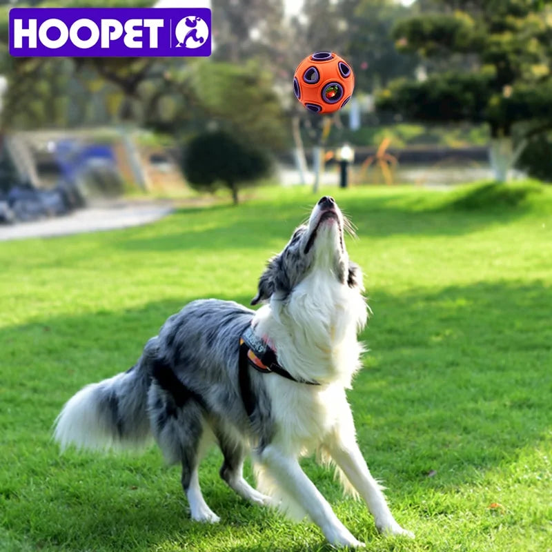 hoop and ball game'
ball and hoop game,
ball and hoop games,
hoop ball game,
hoop-ball,
HOOPET Activity ball
Success

ball and hoop games,
hoopball,