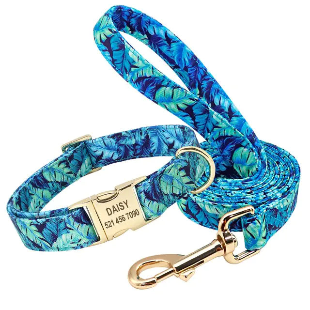 Hund halsband set - Blue Set / Medium