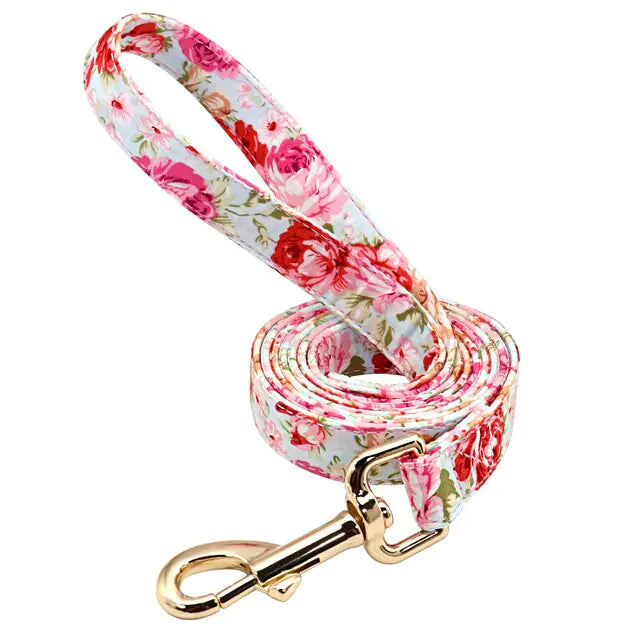 Hund halsband set - Pink Leash / Medium