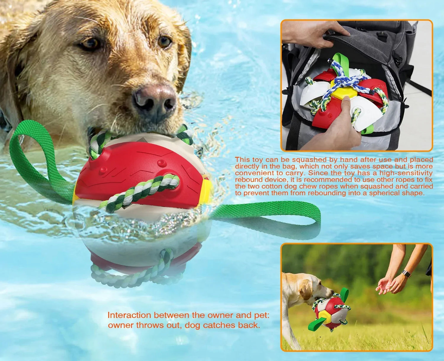 Interactive Dog Toy - Pet Modesti