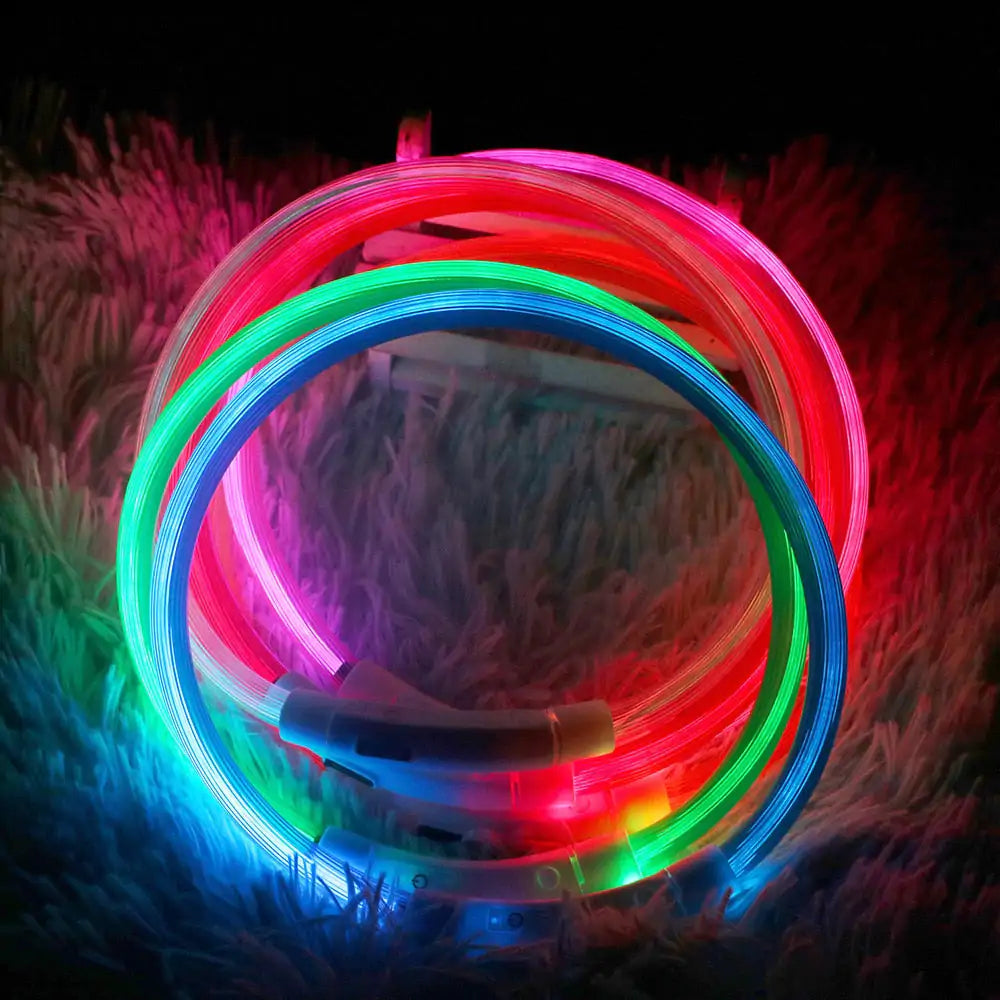 LED hundhalsband - 50cm - Pet Modesti