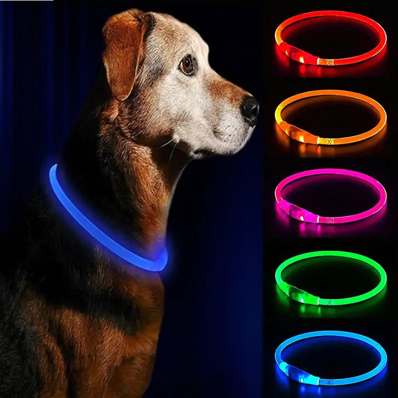 LED hundhalsband - 50cm - Pet Modesti