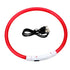 LED hundhalsband - 50cm - Pet Modesti