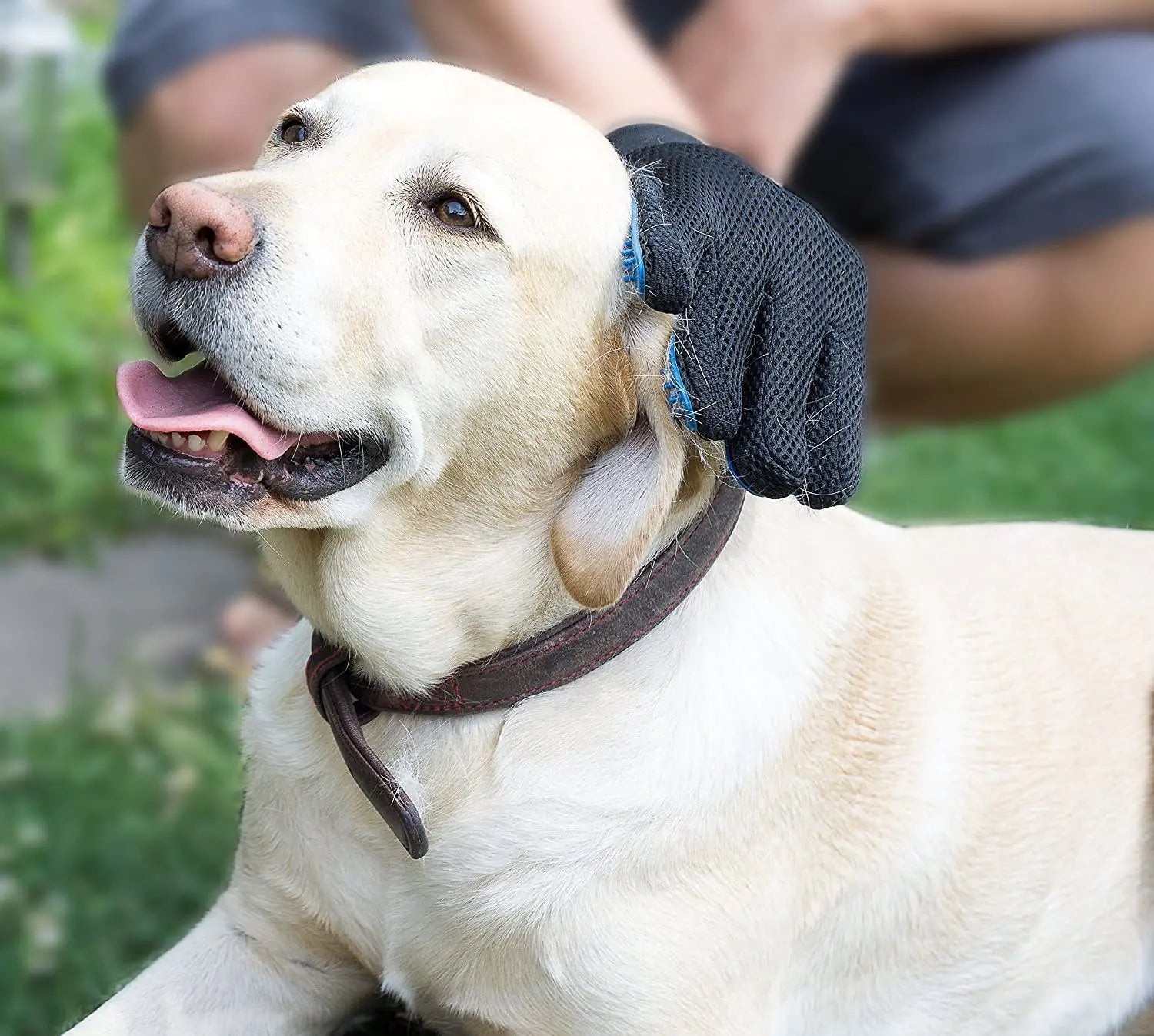 Pälsvårdshandske för Husdjur med Anti-Hår Funktion - Pet Modesti