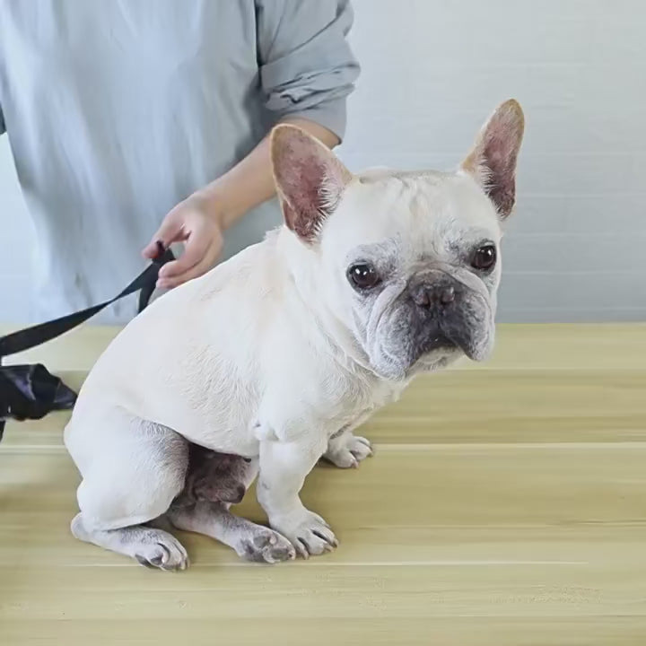 Zapatos antideslizantes para perros