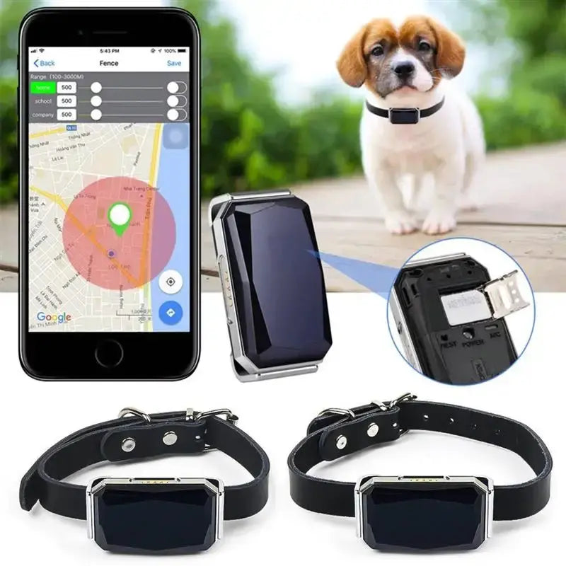 Smart halsband till hund - Pet Modesti