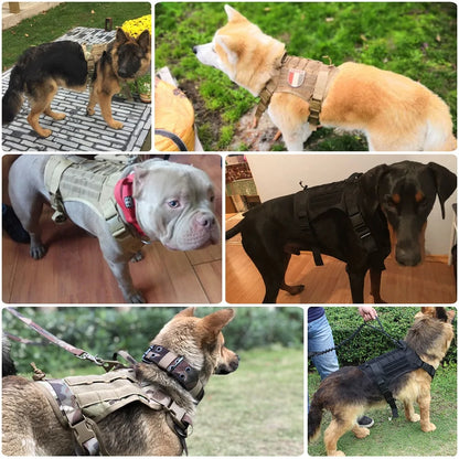 Tactical Harness Millitary K9 - Pet Modesti