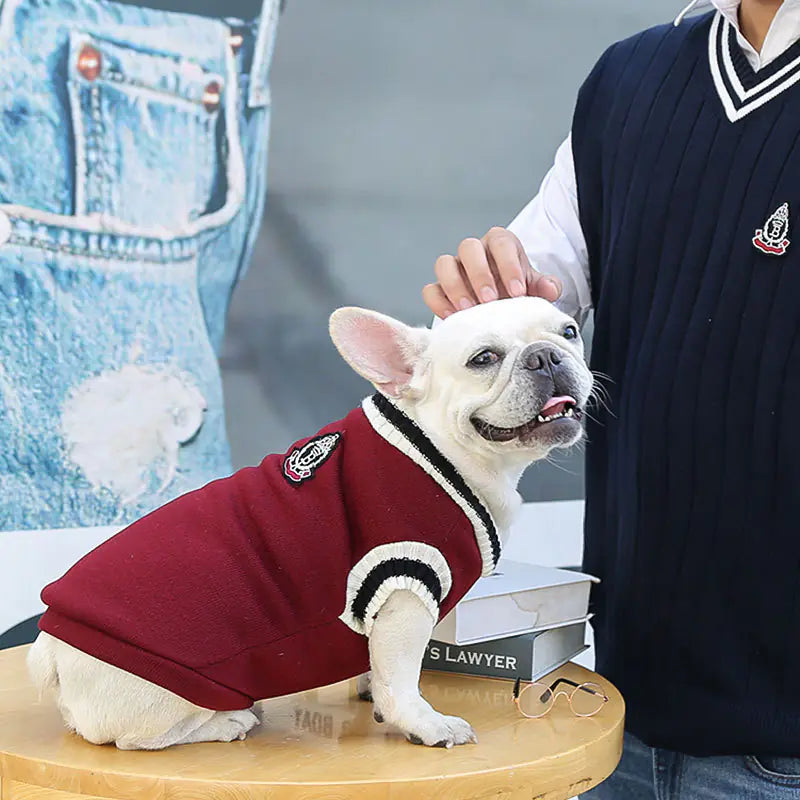 Varm och Trendig Hundtröja i College Stil - Pet Modesti